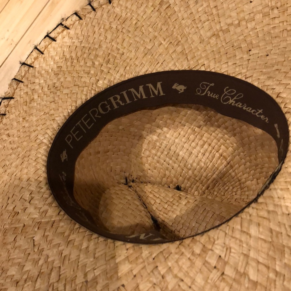 Modern Panama Hat - image 2